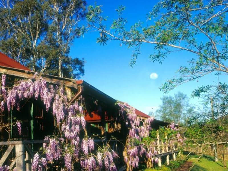 Cedar Creek Cottages Millfield Exterior foto